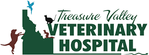 treasure valley veterinary hospital
