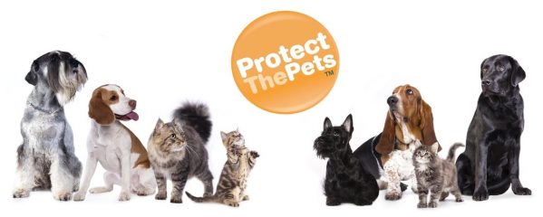protect the pets