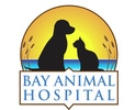 bay animal hospital