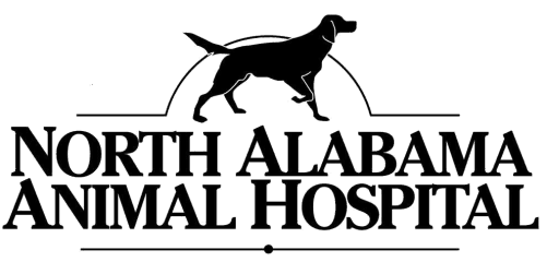 north alabama animal hospital