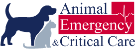 animal emergency & critical care