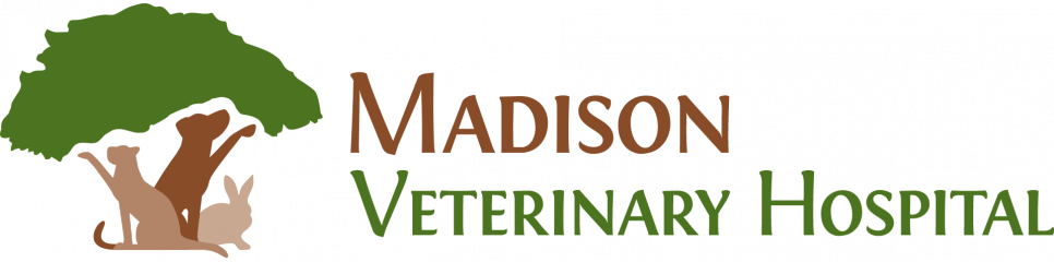 madison veterinary hospital