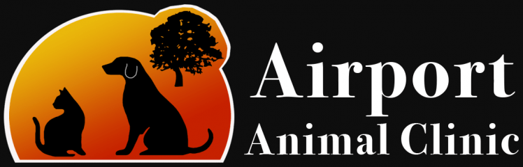 airport animal clinic