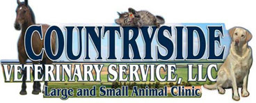 countryside veterinary service