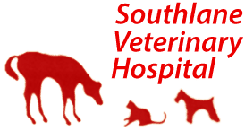 southlane veterinary hospital