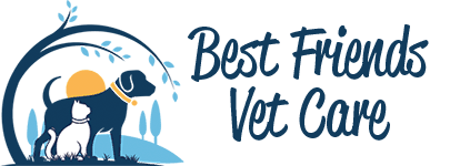 best friend vet care