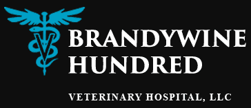 brandywine hundred veterinary hospital