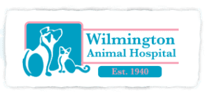 wilmington animal hospital