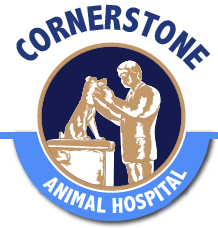 cornerstone animal hospital - pleasant plains (il 62677)
