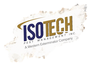 isotech pest management