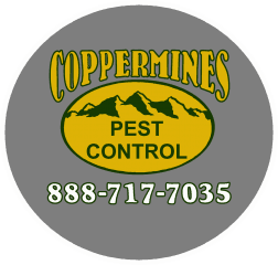 coppermines pest control