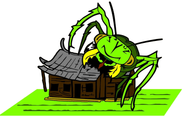 home protection pest control - brandon
