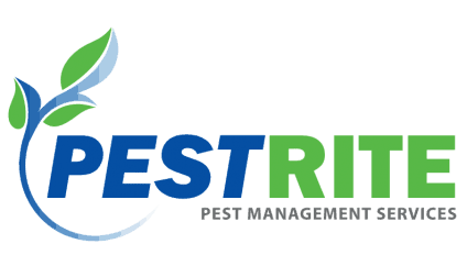 pestrite pest management