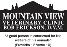 mountain view veterinary clinic
