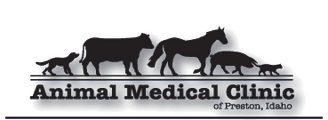 animal medical clinic
