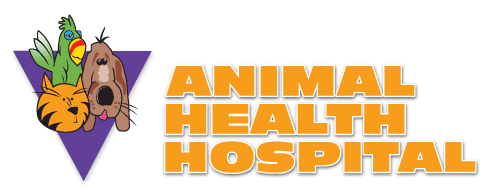 animal health hospital