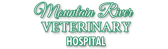 mountain river veterinary hospital
