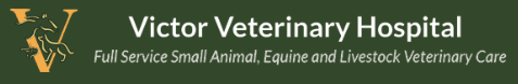 victor veterinary hospital