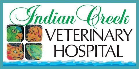 indian creek veterinary hospital