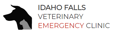 idaho falls veterinary emergency clinic