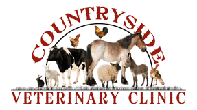 countryside veterinary clinic - mcrae-helena (ga 31055)