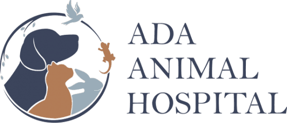 ada animal hospital