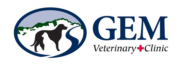 gem veterinary clinic
