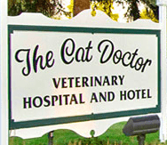 the cat doctor veterinary hospital & hotel