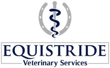 equistride veterinary services