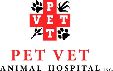 pet vet animal hospital