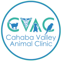 cahaba valley animal clinic