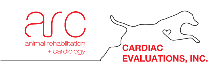 cardiac evaluations