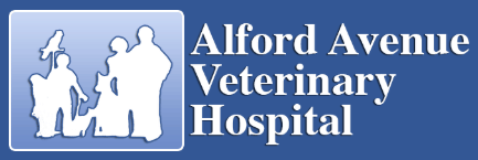 alford avenue veterinary hospital