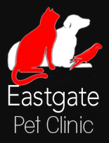 eastgate pet clinic