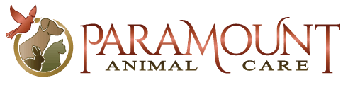 paramount animal care