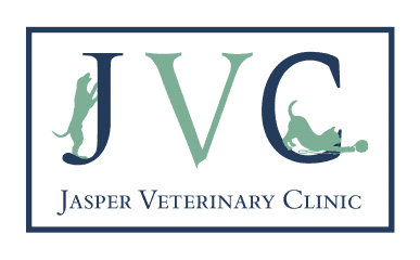 jasper veterinary clinic