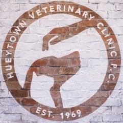 hueytown veterinary clinic & pet lodge