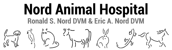 nord animal hospital