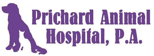 prichard animal hospital