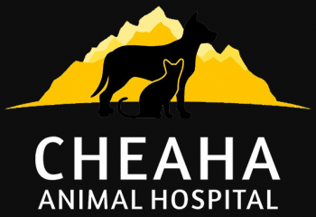 cheaha animal hospital