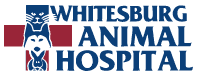 whitesburg animal hospital pc