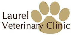 laurel veterinary clinic
