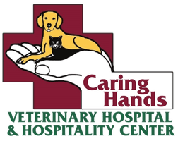 caring hands veterinary hospital