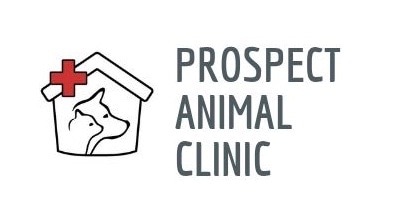 prospect animal clinic