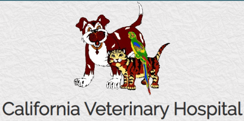 california veterinary hospital