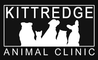 kittredge animal clinic
