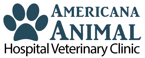 americana animal hospital
