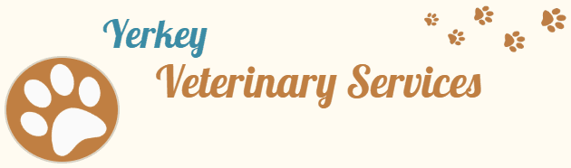 yerkey veterinarian services