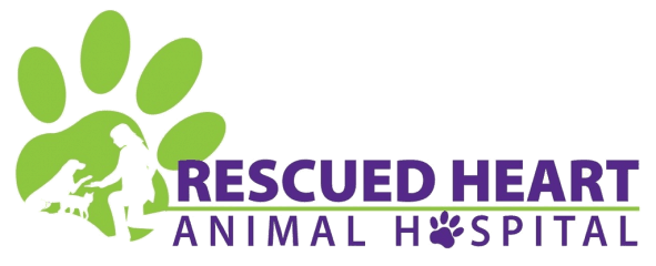 rescued heart animal hospital
