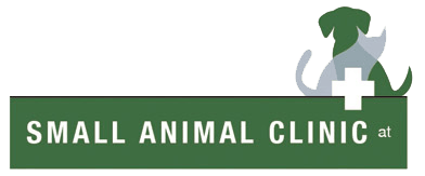 the small animal clinic